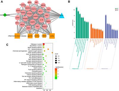 Network analysis and experimental pharmacology study explore the protective effects of Isoliquiritigenin on 5-fluorouracil-Induced intestinal mucositis